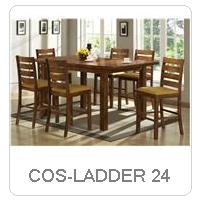 COS-LADDER 24